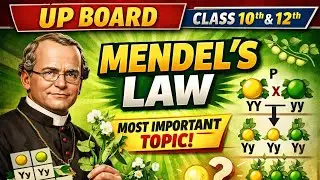 Mendal Law's || Class-10th & 12th || Most Imp Topic For Board Exam 2026#exam#upboard