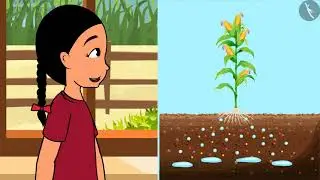 पादपों में पोषण | Part 1/3 | Nutrition In Plants | Hindi | Class 7 Science Chapter 1 | TicTacLearn