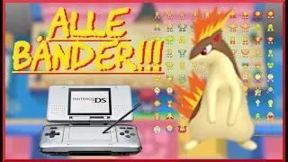 Wie ein Pokemon alle B&auml;nder auf dem Nintendo DS bekommt  -  RibbonMaster Guide 4.  Generation