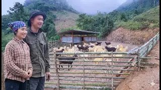 Phan and Chieu created a playground for the goats using bamboo poles.