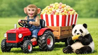 Monkey Farm Tractor Rescues Baby Panda And Makes Popcorn From Corn! - Monkey Farm Work