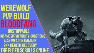 ESO Werewolf PVP Build & Gameplay - Bloodfang - Markarth