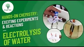 🔬💧 Magical Science: Electrolysis of Water Explained! | Fun Hands-on Chemistry Experiment