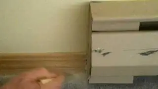 Treating a Baseboard with Diatomaceous Earth to Prevent Bedbugs