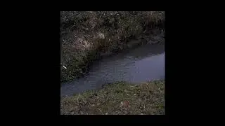 [FREE] Duster x D4vd x Lord Huron | Slowcore Indie Rock Type Beat 