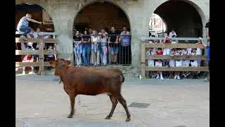 Fiestas de C&aacute;seda 2024