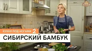 Сибирский бамбук \ Кухня под ногами. Сезон 2