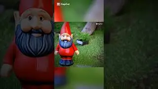 Kade e Zaida #downtoearth #kade #zaida