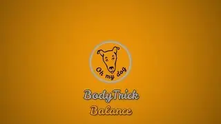 BodyTrick 