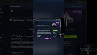 CPTS или OSCP &mdash; какой сертификат по кибербезопасности на самом деле поможет вам устроиться на раб...