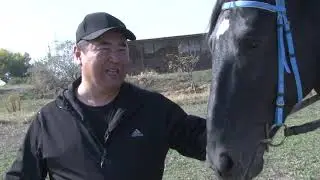 АРГЫМАК / Сокулук - 