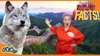 ⭐ NEW: Auntie B's Fantastic Facts | Wall of China 🏯, Wood Frog 🐸 and More | Full Episode | Episode 5