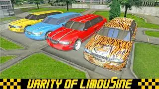Limo Fleet Transporter: Taxi