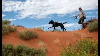 Big dog pack walks are a howling good time at Best Friends Animal Sanctuary Dogtown