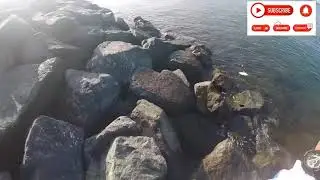 Vlog#11 Field Test for Favorite White Bird 762UL Shore Jigging / Rock Fishing / Dubai Fishing