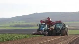 R&uuml;benernte / Zuckerr&uuml;ben roden 2018 mit Hektor von H&uuml;MaF Landtechnik wie Grimme Rootster Non Stop