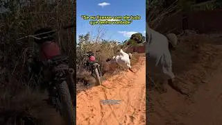 24 de julho de 2025