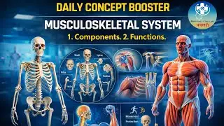 COMPONENTS AND FUNCTIONS OF MUSCULOSKELETAL SYSTEM [DAILY CONCEPT BOOSTER]