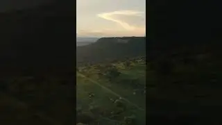 #nature#newwave