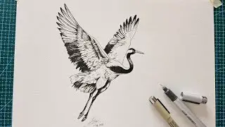 How to draw realistic on your sketch using Only black pen😍