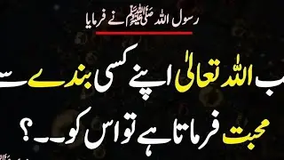 Jab Allah Kisi Se Mohabat Farmata Hai| Hadees Mubarak | Hades | Islamic Urdu PAKISTAN |