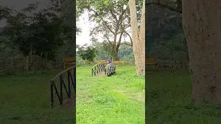 how they spend their vacation #daughter #viralvideos