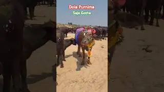 Dola Purnima‼️Gopala Ogala Songs ‼️#shorts #viral #trending