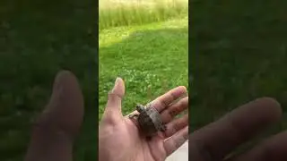 Sunday ☀️ BabyTurtleVibes #TurtleTok #TinyTurtle #TurtleLife #TurtleCutie  #ViralTurtle #TurtleLove