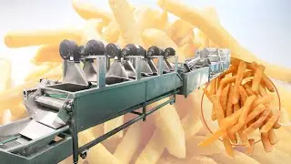 2020 Industrial Frozen French Fries Processing Plant | 500kg/h French Fries Production Line