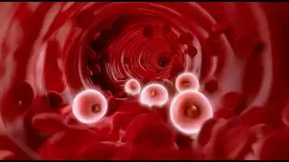 We are not a virus. We are the cure.