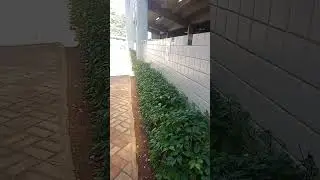 refeit&oacute;rio