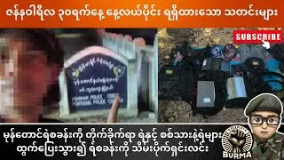 ဇန်နဝါရီလ ၃၀ ရက်နေ့  နေ့လယ်ပိုင်းရရှိထားသော သတင်းများ