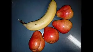 Season change at the minibus stop ‑ Poem | Lone Avocado | Abdullah Al Mamun
