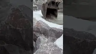 A man with an excavator rescued a bird that was stuck in a Michigan lake