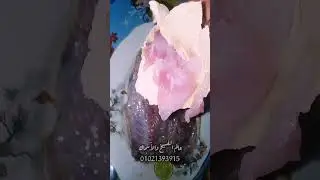 هتروح للفسخانى 😂 #عالم_الفسيخ_والاسماك #foryou #اكسبلور #سمك #fish #food