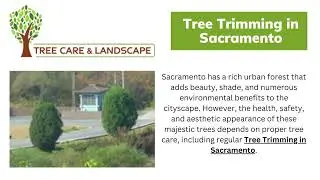Tree Service In Sacramento - Cisnerostreecare.com