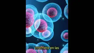 Caquexia por c&aacute;ncer