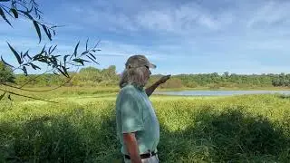 Designing a Wetland by Chesapeake Wildlife Heritage and MOFFA