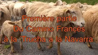 Camino Francés en passant par  St-Jean-pied-de-Port, Roncevaux, Burguete, Zubiri, Puente la Reina.