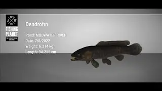 monster dendrofin