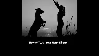 How to Teach Your Horse Liberty - Session 1