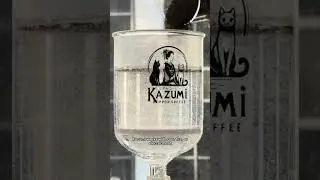 Кофе Казуми в сифоне #kazumicoffee #coffee #siphoncoffee #japanesecoffee #coffeebrewing