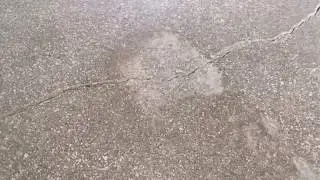 Polished Concrete in Garage Expectations
