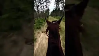 EPIC HORSE RIDING 🖤💀😶&zwj;🌫️🖤#shorts #shortsfeed #horse #horseriding #viral #trending #edit #foryou