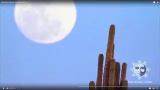 Full Moon: March Full Worm Moon