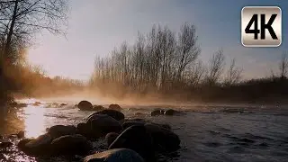 River Sound Effect (8 hours NO ADS DURING VIDEO) - Virtual Environment for Yoga, Meditation or Sleep