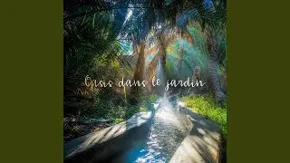 Clair de lun