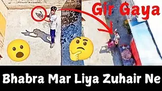 Aj zuhair ne bhabra mar Liya 🤔 bird's vlog ( Liaquatabad pigeons official )