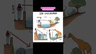 ZOO ENCLOSURES #shorts #civilengineering065 #viral