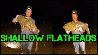Shallow water Flatheads early spring